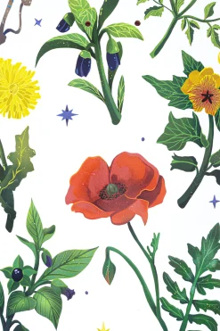 Online Blat Herbarium Blaty Do Deskorolki