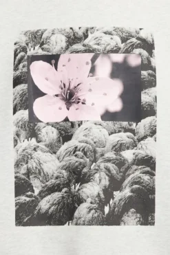 New Bluza Bez Kaptura SB Natural Border Bluzy Bez Kaptura