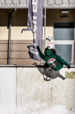 Online Bluza Snowboardowa Mushroom Bluzy Snowboardowe|Odzież Termiczna