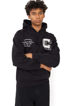 Online Bluza Z Kapturem Brown Ducks Bluzy Z Kapturem