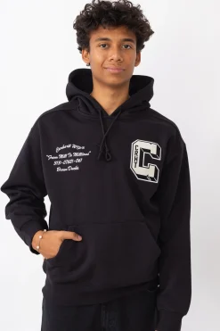 Online Bluza Z Kapturem Brown Ducks Bluzy Z Kapturem