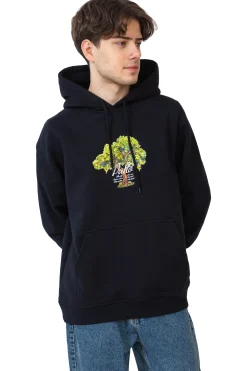 Clearance Bluza Z Kapturem Lemon Tree Bluzy Z Kapturem