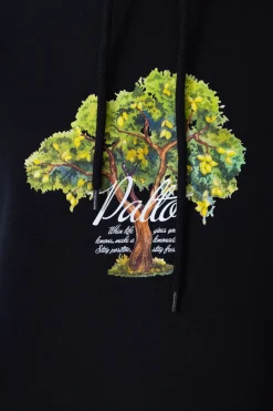 Clearance Bluza Z Kapturem Lemon Tree Bluzy Z Kapturem