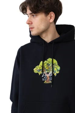 Clearance Bluza Z Kapturem Lemon Tree Bluzy Z Kapturem