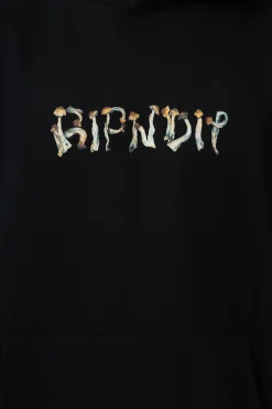 Best Bluza Z Kapturem Is This Real Life Bluzy Z Kapturem