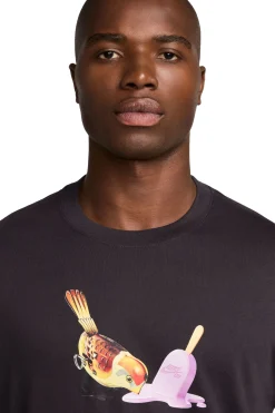 Outlet Koszulka SB Max90 Ice Cream T-shirty