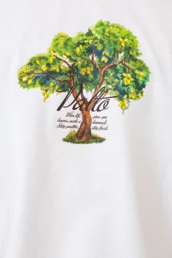 Sale Koszulka Lemon Tree T-shirty