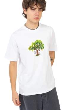 Sale Koszulka Lemon Tree T-shirty