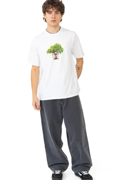 Sale Koszulka Lemon Tree T-shirty