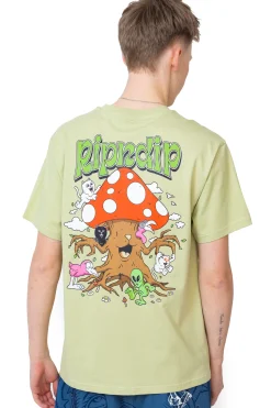 Clearance Koszulka Playground T-shirty