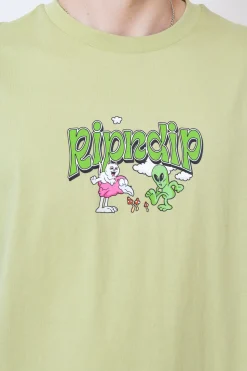 Clearance Koszulka Playground T-shirty